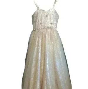 Petite Adele Sequined Formal  Dress Gown Size 10